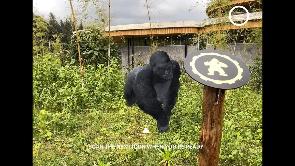 On the iPad, an AR silverback walks past a trail sign with a gorilla icon. The campus building is behind it.