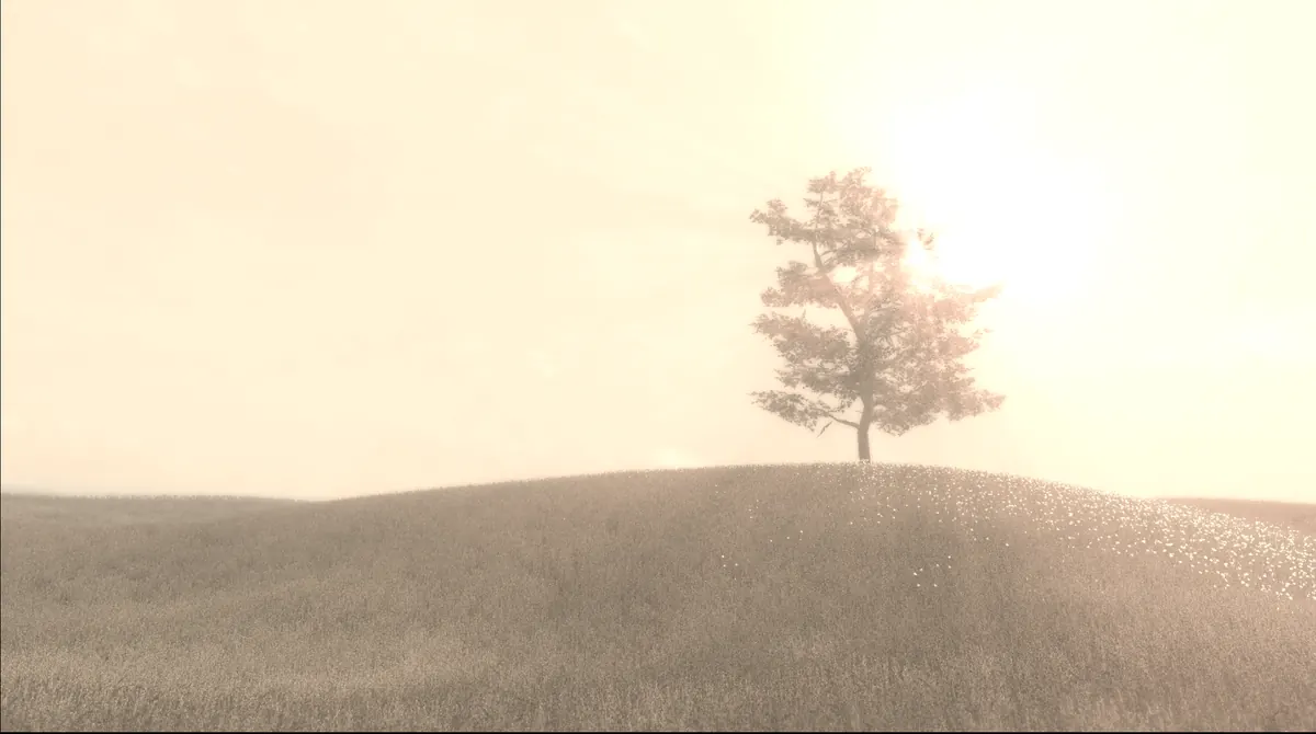 The Meadow: a lone tree on a grassy hill in hazy, warm light.